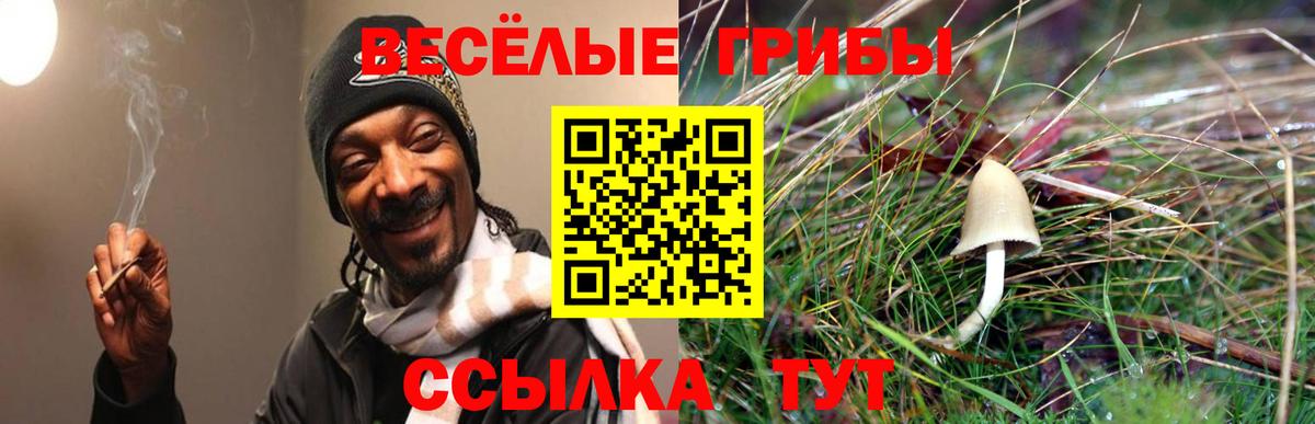 Псилоцибиновые грибы MAGIC MUSHROOMS Сарапул