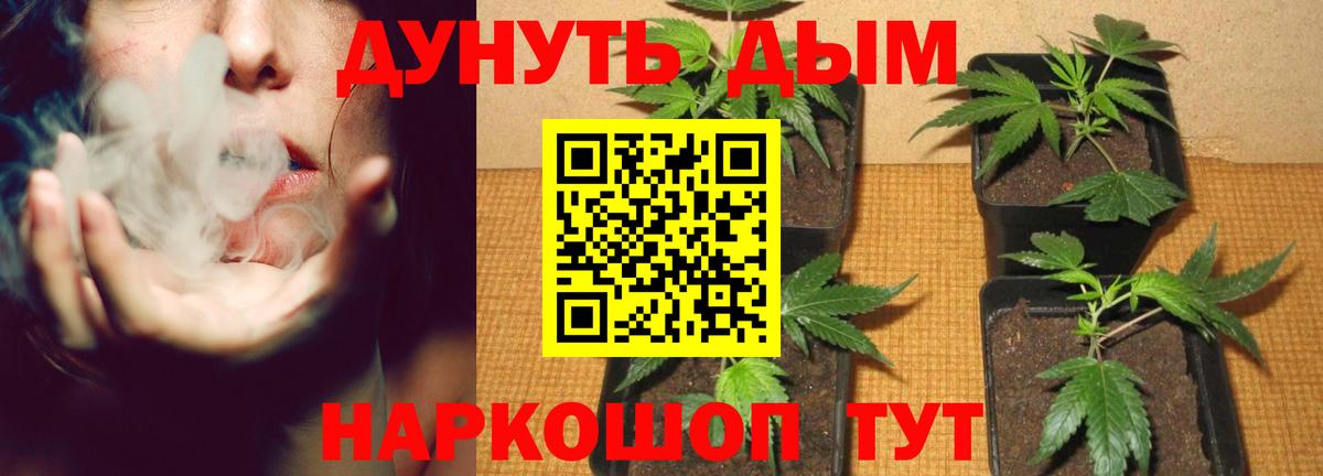 Сарапул  Шишки марихуана конопля  Бошки марихуана SATIVA & INDICA  Вход с VPN 
